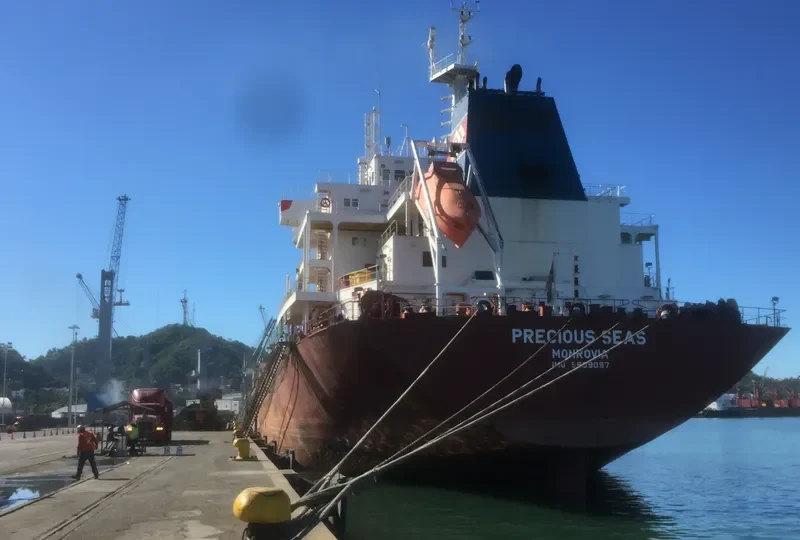 SEAS 5 Bulk Carrier IMO 9589097 photo 3