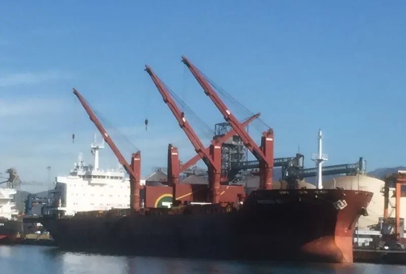 SEAS 5 Bulk Carrier IMO 9589097 photo 4