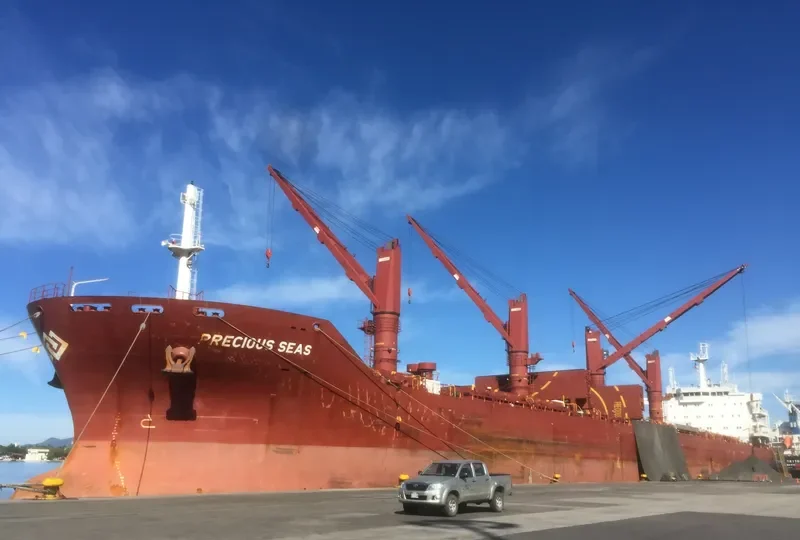 SEAS 5 Bulk Carrier IMO 9589097 photo 5