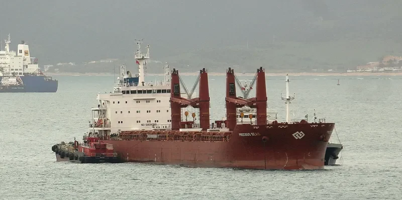 SEAS 5 Bulk Carrier IMO 9589097 photo 6