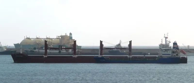 SEAS 5 Bulk Carrier IMO 9589097 photo 7