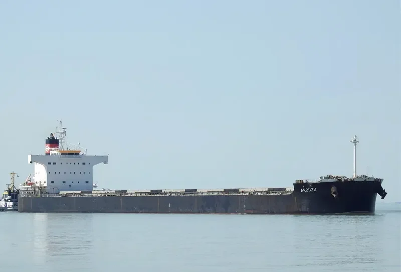 AROUZU Bulk Carrier IMO 9589138