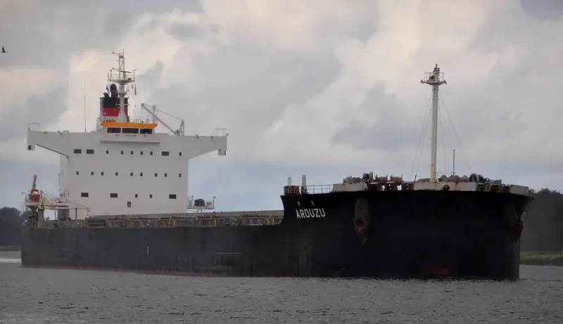 AROUZU Bulk Carrier IMO 9589138 photo 5