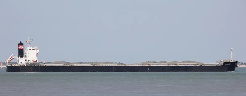 AROUZU Bulk Carrier IMO 9589138 photo 7