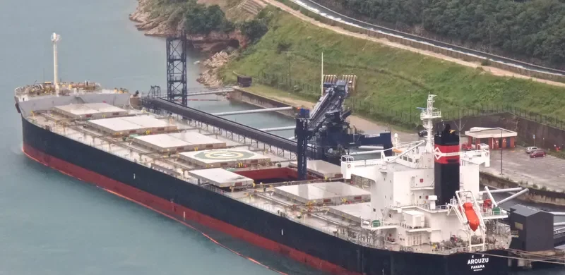 AROUZU Bulk Carrier IMO 9589138 photo 8