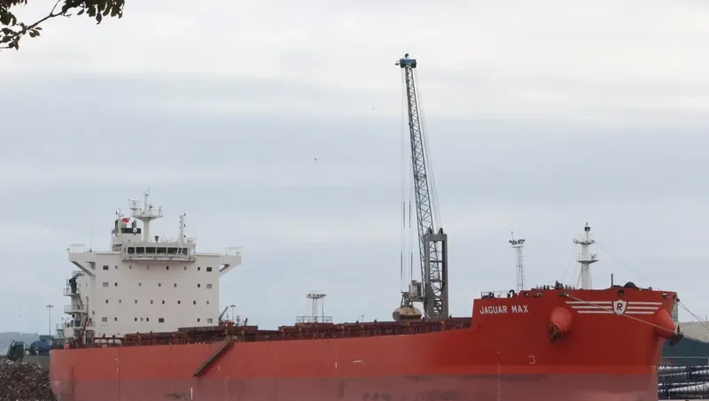 JAGUAR MAX Bulk Carrier IMO 9589140 photo 3