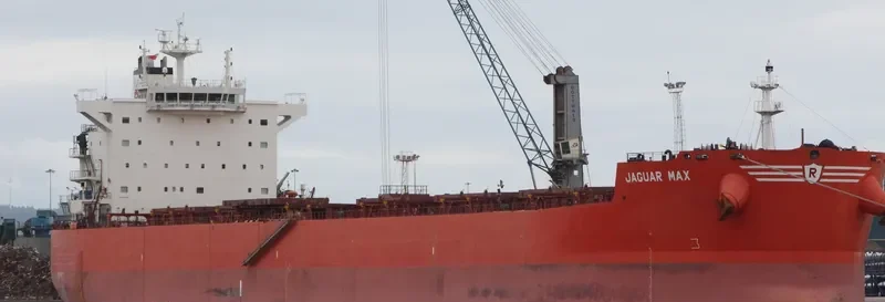 JAGUAR MAX Bulk Carrier IMO 9589140 photo 4