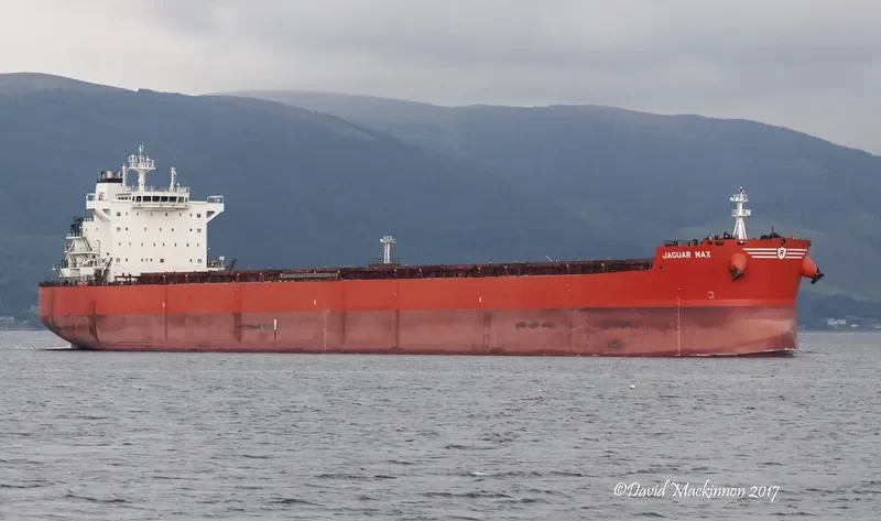 JAGUAR MAX Bulk Carrier IMO 9589140 photo 8