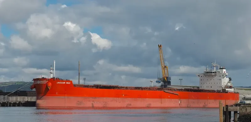 JAGUAR MAX Bulk Carrier IMO 9589140 photo 9