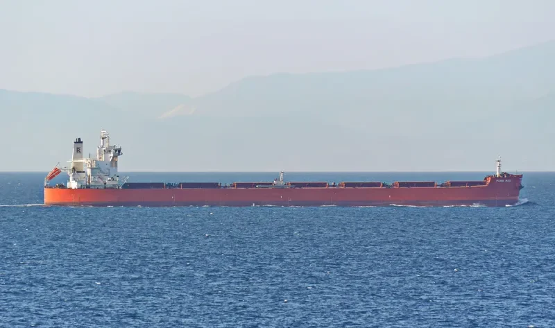 PUMA MAX Bulk Carrier IMO 9589152