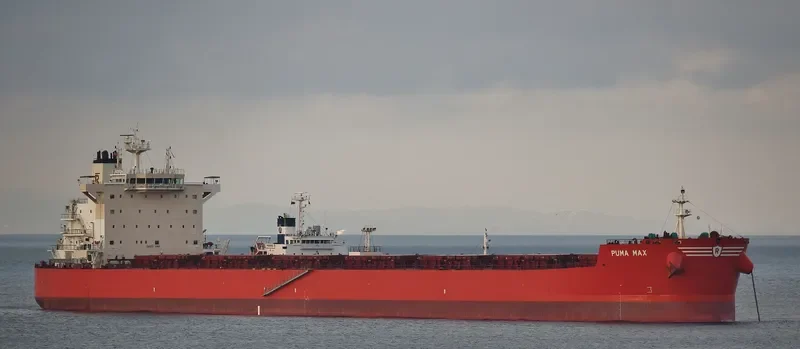 PUMA MAX Bulk Carrier IMO 9589152 photo 5