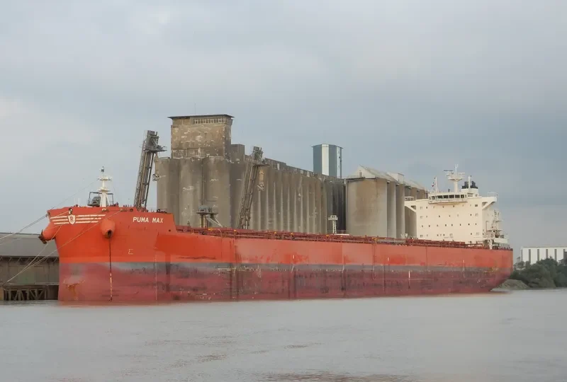 PUMA MAX Bulk Carrier IMO 9589152 photo 6