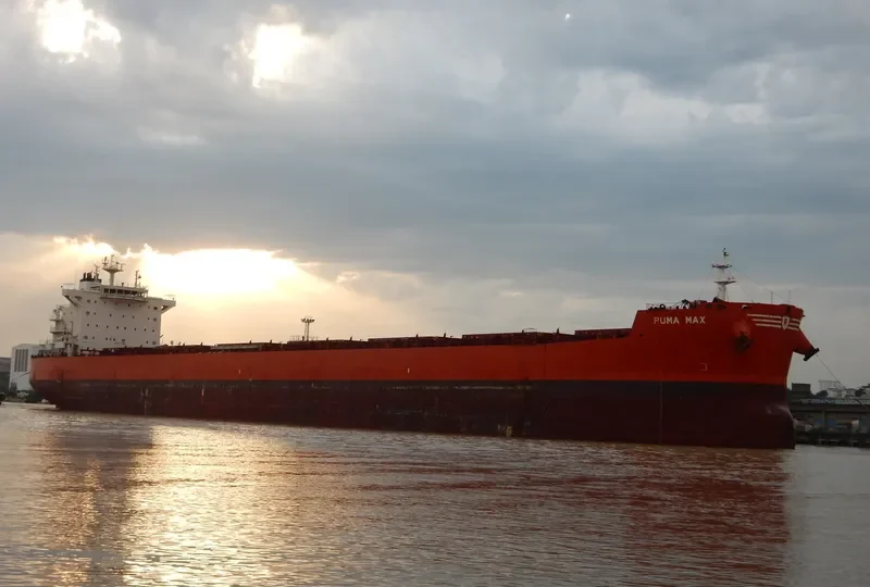 PUMA MAX Bulk Carrier IMO 9589152 photo 7
