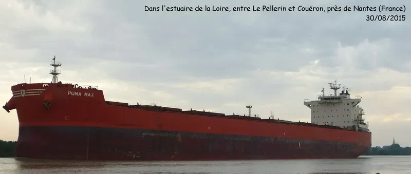 PUMA MAX Bulk Carrier IMO 9589152 photo 10