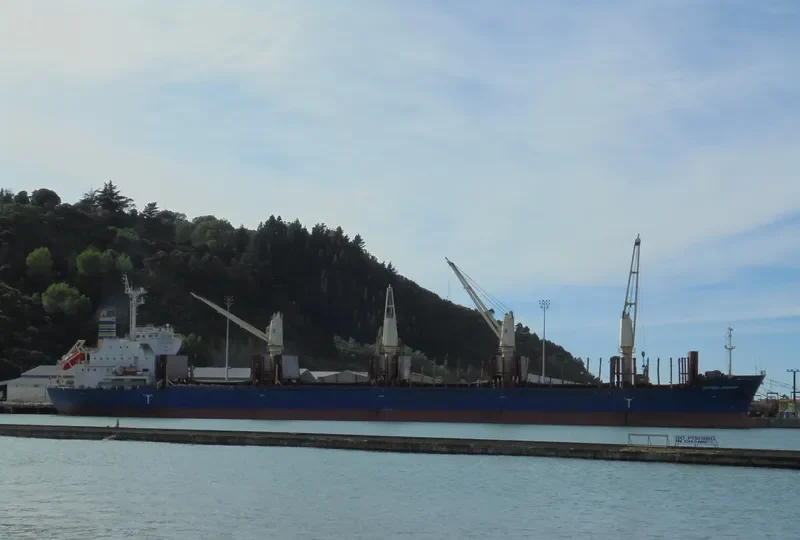 VICTORIA HARBOUR Bulk Carrier IMO 9589229 photo 3