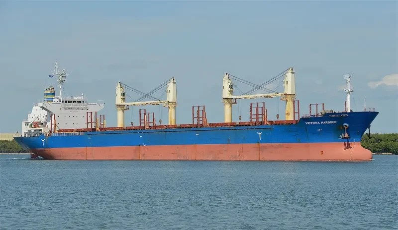 VICTORIA HARBOUR Bulk Carrier IMO 9589229 photo 4