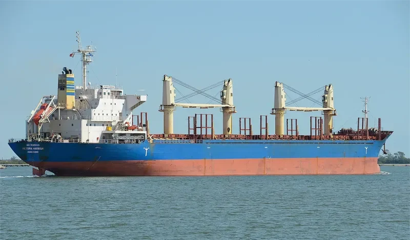 VICTORIA HARBOUR Bulk Carrier IMO 9589229 photo 5