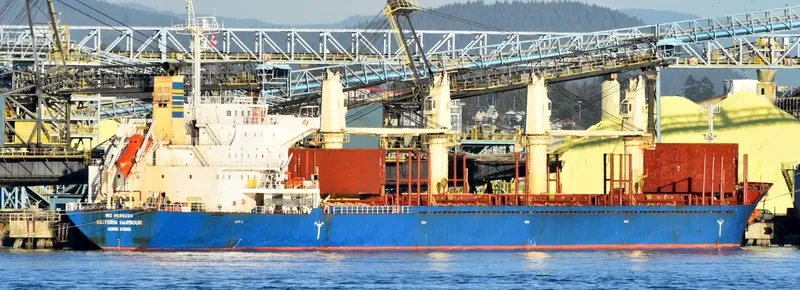 VICTORIA HARBOUR Bulk Carrier IMO 9589229 photo 6