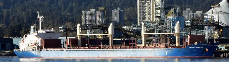 VICTORIA HARBOUR Bulk Carrier IMO 9589229 photo 7