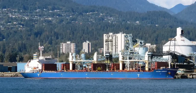 VICTORIA HARBOUR Bulk Carrier IMO 9589229 photo 8