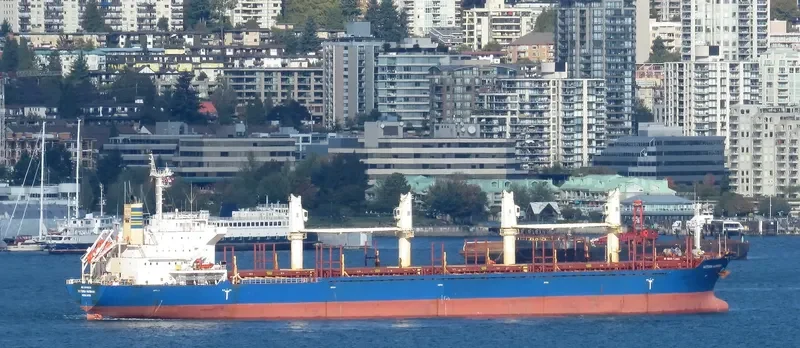 VICTORIA HARBOUR Bulk Carrier IMO 9589229 photo 9