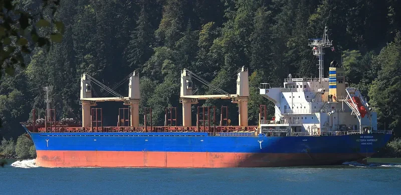 VICTORIA HARBOUR Bulk Carrier IMO 9589229 photo 10