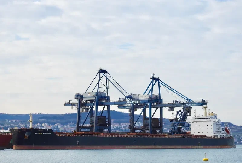 BUILDER Bulk Carrier IMO 9589255