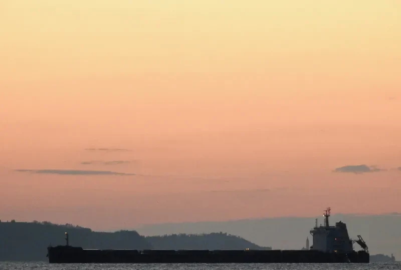 BUILDER Bulk Carrier IMO 9589255 photo 5