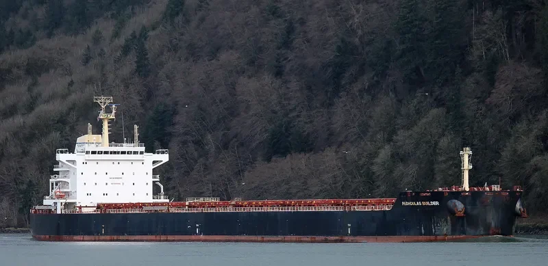 BUILDER Bulk Carrier IMO 9589255 photo 8