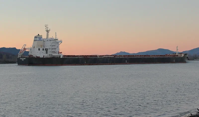 BUILDER Bulk Carrier IMO 9589255 photo 10