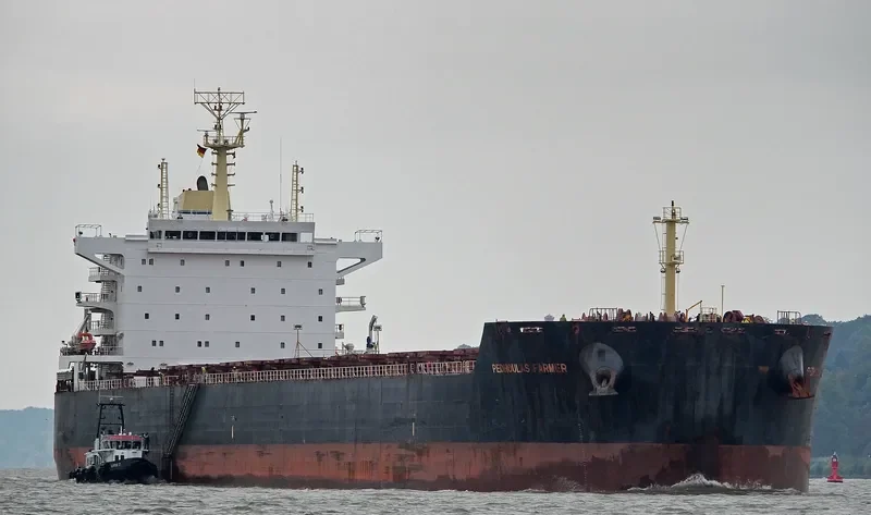 FARMER Bulk Carrier IMO 9589267