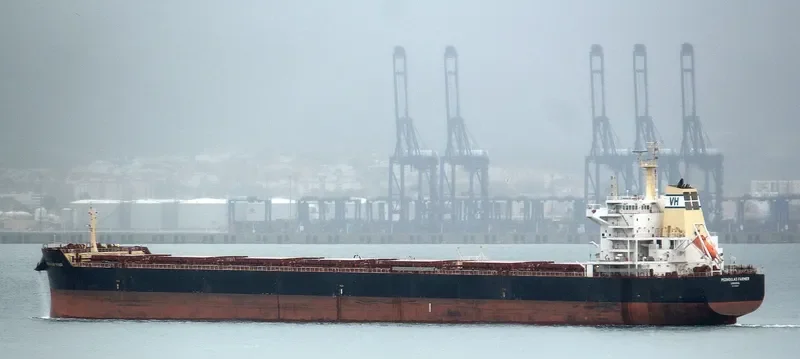 FARMER Bulk Carrier IMO 9589267 photo 2