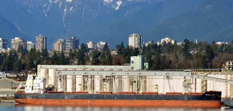 FARMER Bulk Carrier IMO 9589267 photo 5