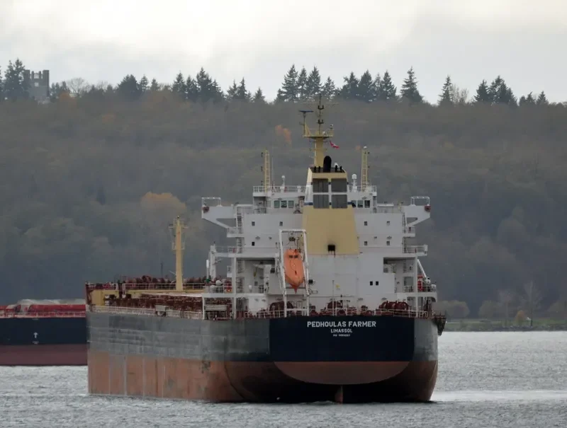 FARMER Bulk Carrier IMO 9589267 photo 8
