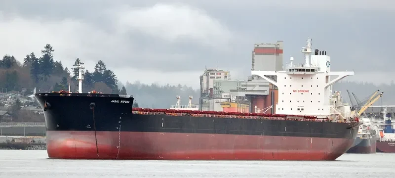 PANTARISTE Bulk Carrier IMO 9589384