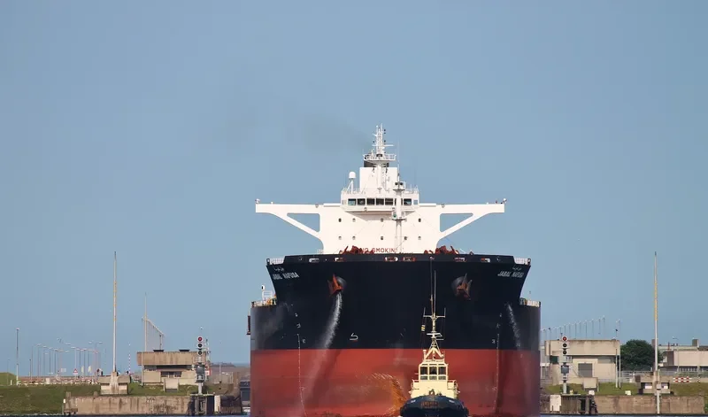 PANTARISTE Bulk Carrier IMO 9589384 photo 6