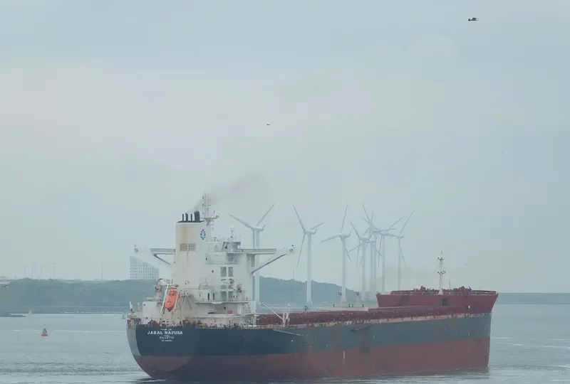 PANTARISTE Bulk Carrier IMO 9589384 photo 10