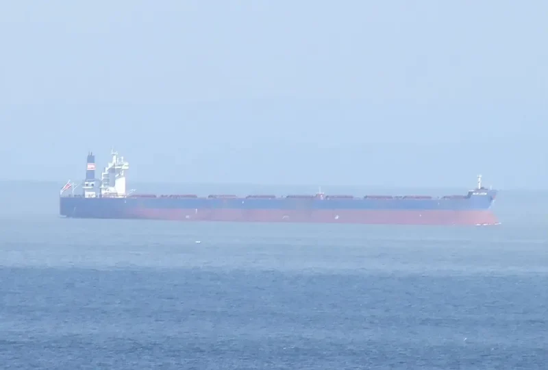 BLUE LHOTSE Bulk Carrier IMO 9589396 photo 8