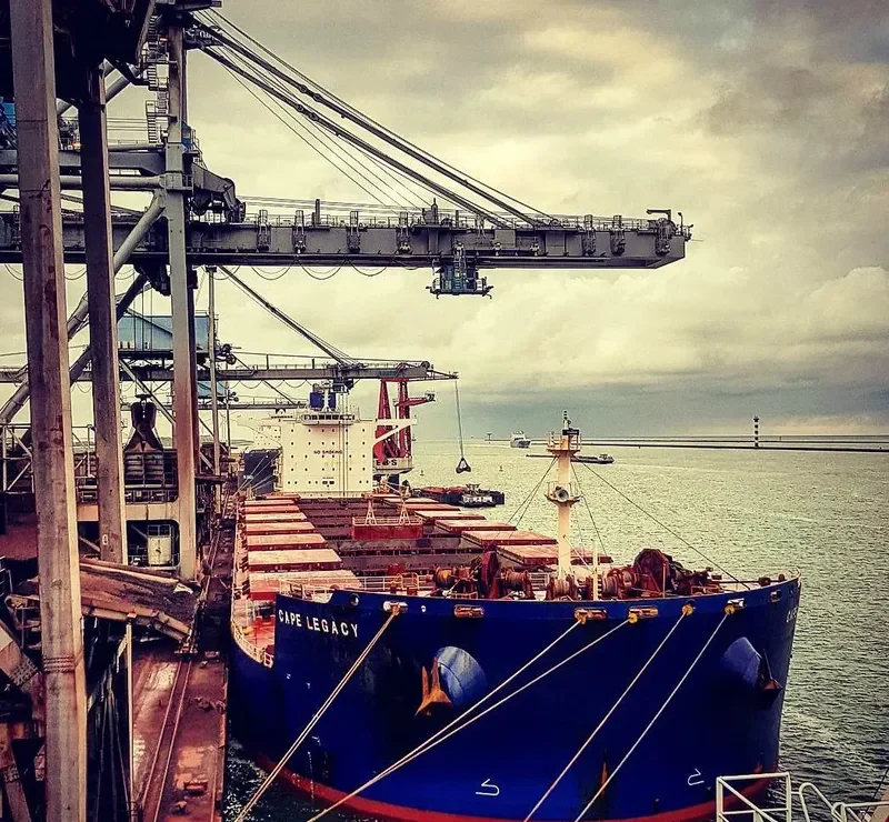 CAPE LEGACY Bulk Carrier IMO 9589401
