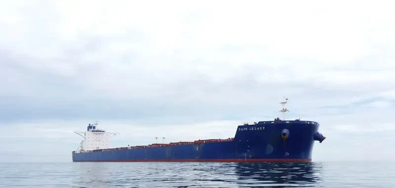CAPE LEGACY Bulk Carrier IMO 9589401 photo 2