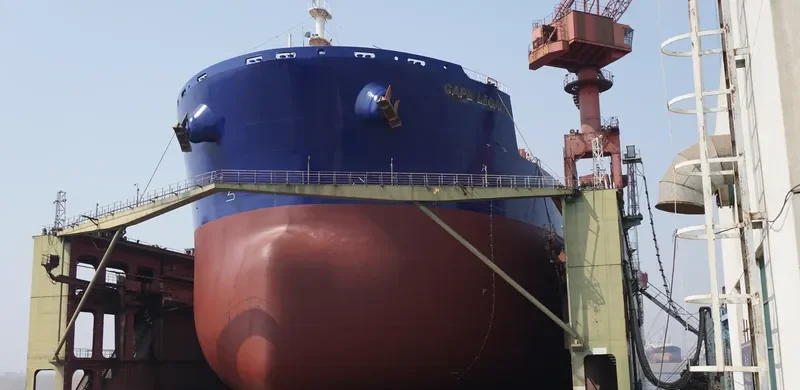 CAPE LEGACY Bulk Carrier IMO 9589401 photo 10