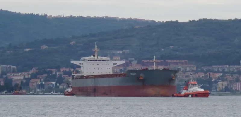 EDGAR Bulk Carrier IMO 9589621