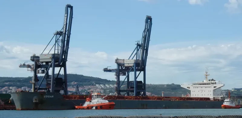 EDGAR Bulk Carrier IMO 9589621 photo 3