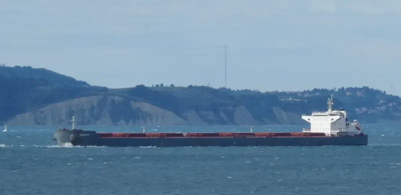 EDGAR Bulk Carrier IMO 9589621 photo 5