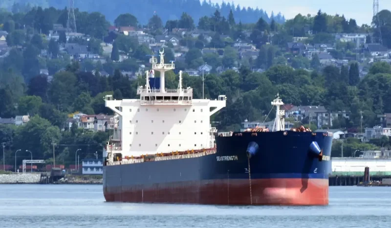 SEASTRENGTH Bulk Carrier IMO 9589671 photo 2