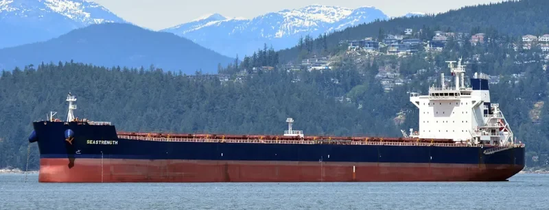 SEASTRENGTH Bulk Carrier IMO 9589671 photo 4