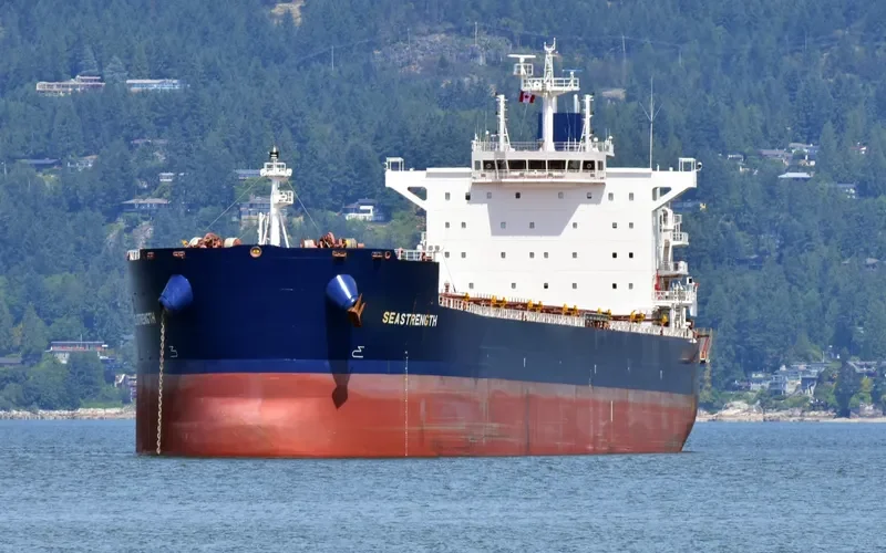 SEASTRENGTH Bulk Carrier IMO 9589671 photo 5