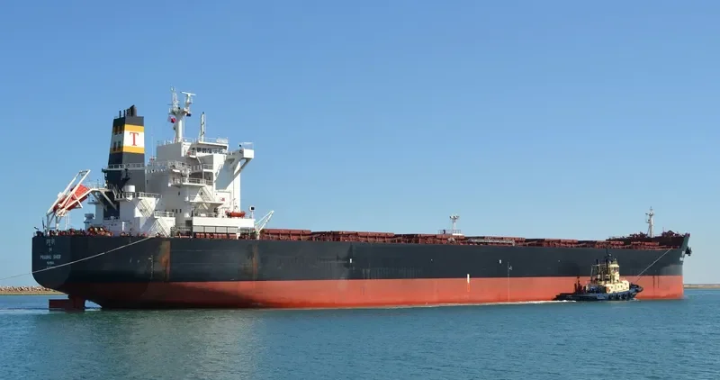 SEASTRENGTH Bulk Carrier IMO 9589671 photo 7