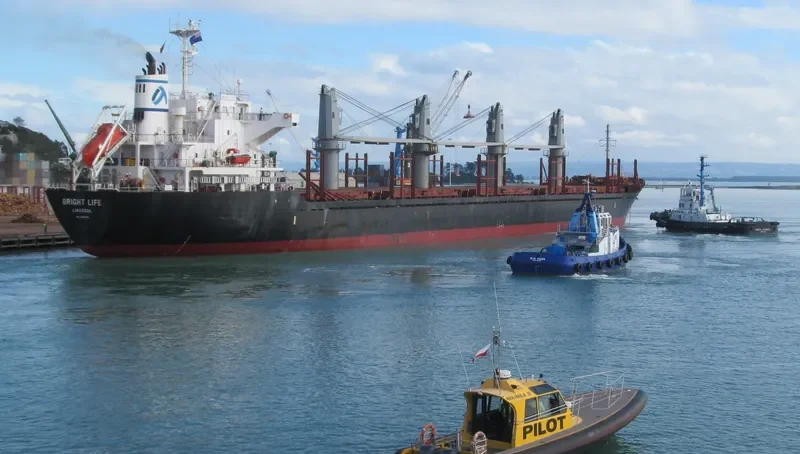 LORD MOUNTBATTEN Bulk Carrier IMO 9589712 photo 4