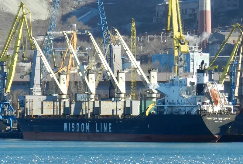 POAVOSA WISDOM VI Bulk Carrier IMO 9589724